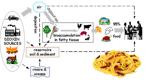 Alimentazione Chimica